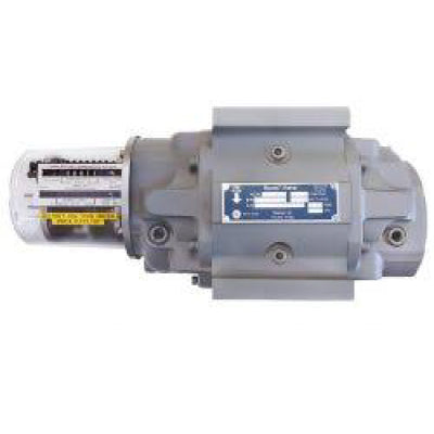 Rotary Gas Meters – Intellimeter Canada Inc.